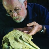 Fordyce tribute Cover