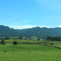 Pirongia McLeod