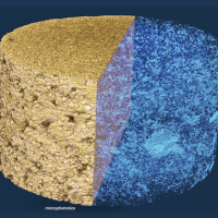 RockPhysics Sandstone